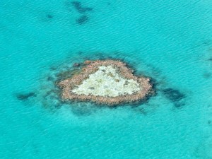 Heart Island, Great Barrier Reef, Queensland