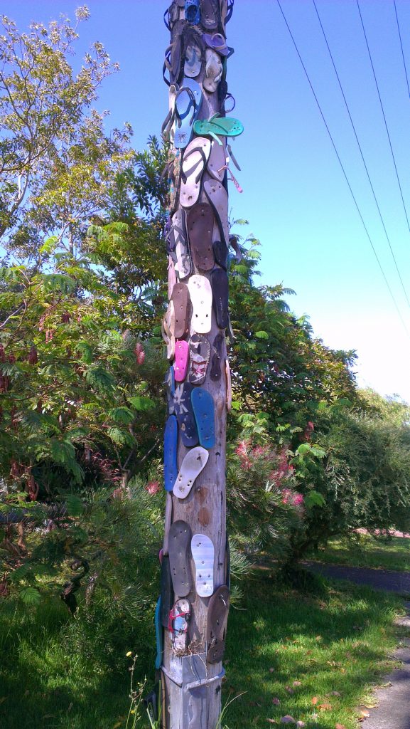 Thong pole at Tunbridge St Margaret River